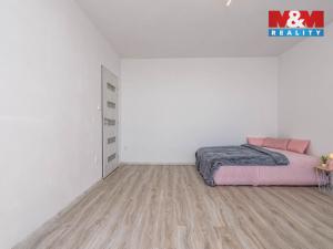 Prodej bytu 1+kk, Hradec Králové - Slezské Předměstí, Třebechovická, 35 m2