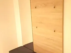 Pronájem bytu 2+kk, Praha - Žižkov, Olšanská, 80 m2