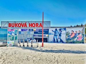 Prodej apartmánu, Červená Voda - Mlýnický Dvůr, 180 m2