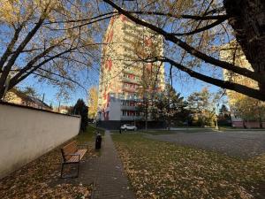 Prodej bytu 3+1, České Budějovice - České Budějovice 3, Čéčova, 63 m2