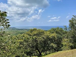 Prodej pozemku pro bydlení, Camp Bay,Honduras, 740 m2