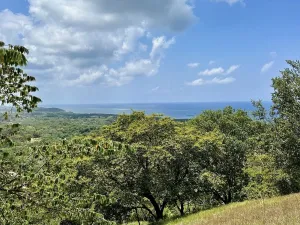 Prodej pozemku pro bydlení, Camp Bay,Honduras, 740 m2