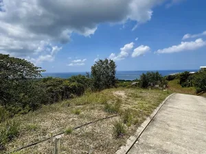Prodej pozemku pro bydlení, Camp Bay,Honduras, 740 m2