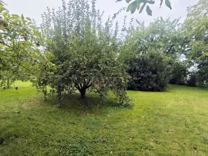 Prodej rodinného domu, Hostín u Vojkovic, 200 m2