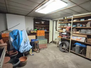 Prodej rodinného domu, Hostín u Vojkovic, 200 m2