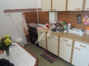 Pronájem bytu 1+kk, Plzeň, Božkovská, 20 m2
