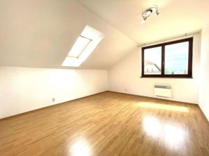 Pronájem rodinného domu, Trnová, 298 m2
