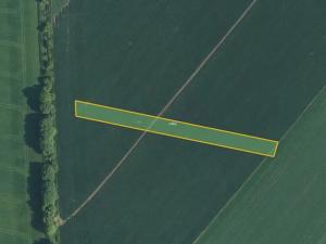 Prodej pole, Prusinovice, 2313 m2