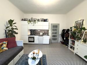 Pronájem bytu 1+kk, Praha - Vinohrady, Velehradská, 30 m2