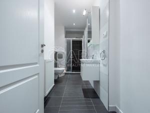 Pronájem bytu 5+kk, Praha, Mánesova, 146 m2