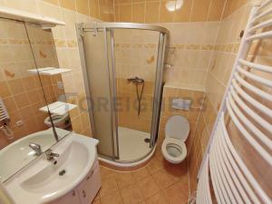 Pronájem bytu 2+1, Olomouc, Blažejské náměstí, 65 m2