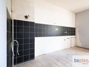 Prodej vícegeneračního domu, Děčín, Tichá, 293 m2