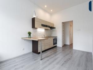Pronájem bytu 3+kk, Praha - Libeň, Davídkova, 55 m2