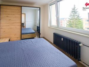 Pronájem bytu 2+kk, Jihlava, Březinova, 58 m2