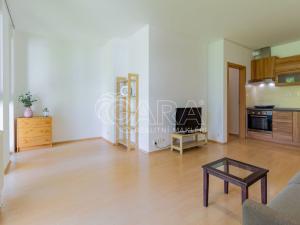 Pronájem bytu 1+kk, Králův Dvůr, Na Horizontu, 30 m2