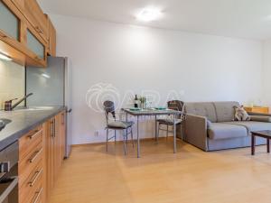 Pronájem bytu 1+kk, Králův Dvůr, Na Horizontu, 30 m2