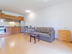 Pronájem bytu 1+kk, Králův Dvůr, Na Horizontu, 30 m2