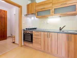 Pronájem bytu 1+kk, Králův Dvůr, Na Horizontu, 30 m2