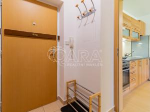 Pronájem bytu 1+kk, Králův Dvůr, Na Horizontu, 30 m2