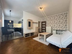 Pronájem bytu 1+1, Havířov, Dělnická, 37 m2