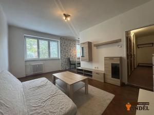 Pronájem bytu 1+1, Havířov, Dělnická, 37 m2