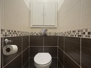 Pronájem bytu 1+1, Havířov, Dělnická, 37 m2