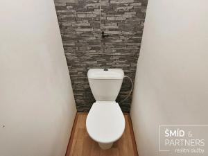 Pronájem bytu 1+1, Kolín, Dělnická, 34 m2