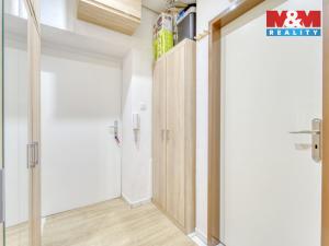Prodej bytu 1+kk, Plzeň - Jižní Předměstí, Tylova, 34 m2