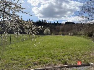 Prodej pozemku pro bydlení, Střílky, Hradská, 2884 m2