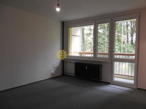 Pronájem bytu 1+kk, Pardubice - Polabiny, Družby, 30 m2