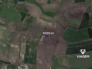 Prodej podílu pole, Záhornice, 403 m2