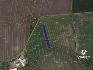 Prodej podílu pole, Záhornice, 241 m2