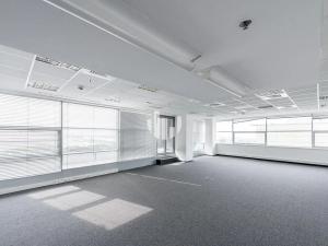 Pronájem kanceláře, Praha - Žižkov, Vinohradská, 387 m2