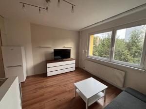 Pronájem bytu 2+kk, Liberec, Vlčí vrch, 41 m2
