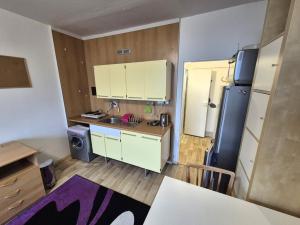 Pronájem bytu 1+kk, Liberec, Březová alej, 22 m2