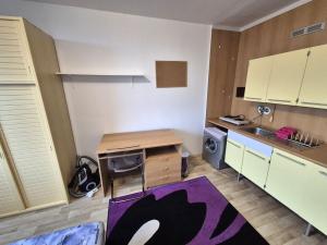 Pronájem bytu 1+kk, Liberec, Březová alej, 22 m2