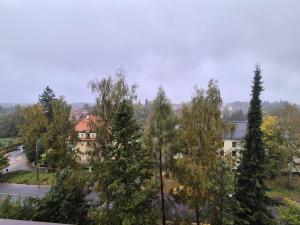 Pronájem bytu 1+kk, Liberec, Březová alej, 22 m2