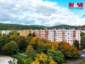 Prodej bytu 1+1, Ústí nad Labem - Severní Terasa, Zvonková, 35 m2