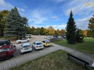 Prodej bytu 2+1, Třebíč, Tolstého, 56 m2