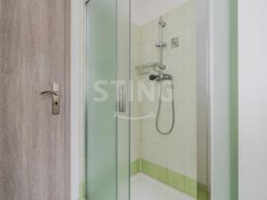 Prodej bytu 1+kk, Nový Jičín, 33 m2