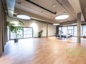 Pronájem kanceláře, Praha - Motol, Plzeňská, 213 m2