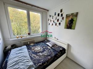 Prodej bytu 4+1, Litvínov - Janov, Hamerská, 68 m2