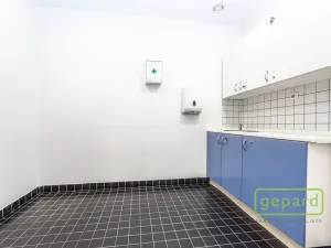 Pronájem kanceláře, Praha - Motol, Plzeňská, 132 m2