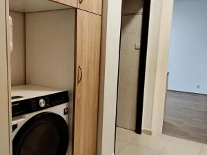 Pronájem bytu 1+1, Děčín - Děčín III-Staré Město, Žerotínova, 51 m2