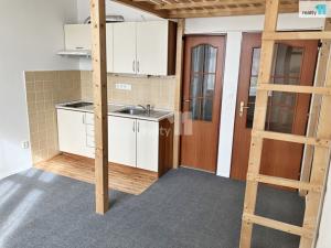 Pronájem bytu 1+kk, Plzeň - Východní Předměstí, Koterovská, 28 m2