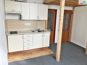 Pronájem bytu 1+kk, Plzeň - Východní Předměstí, Koterovská, 28 m2