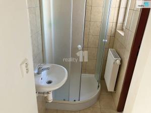 Pronájem bytu 1+kk, Plzeň - Východní Předměstí, Koterovská, 28 m2
