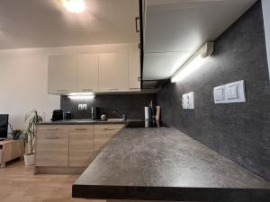Prodej bytu 1+kk, Brno - Slatina, Řípská, 39 m2