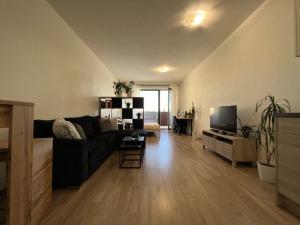 Prodej bytu 1+kk, Brno - Slatina, Řípská, 39 m2