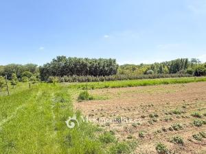 Prodej pozemku, Znojmo - Oblekovice, 8172 m2